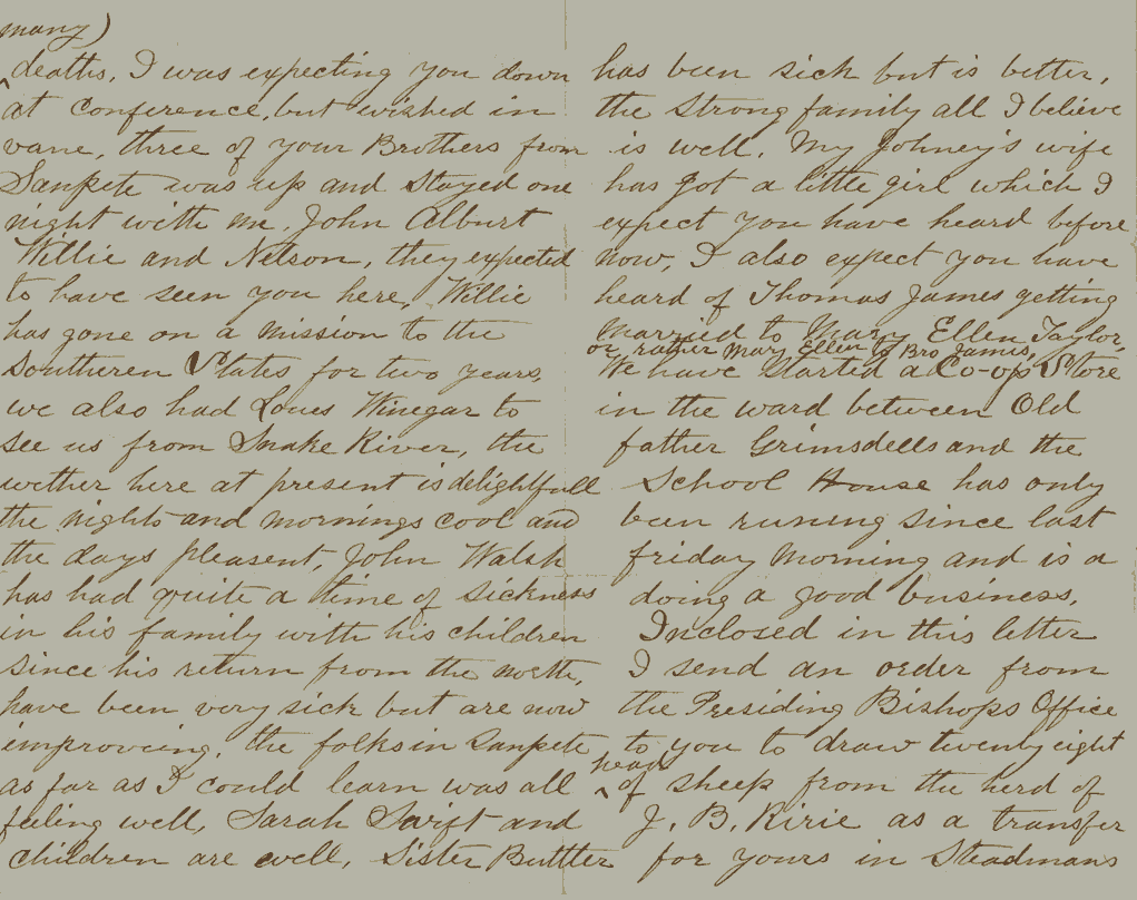 Letter from James T & Elizabeth Strong to their niece, Sarah Elizabeth Alvord. 